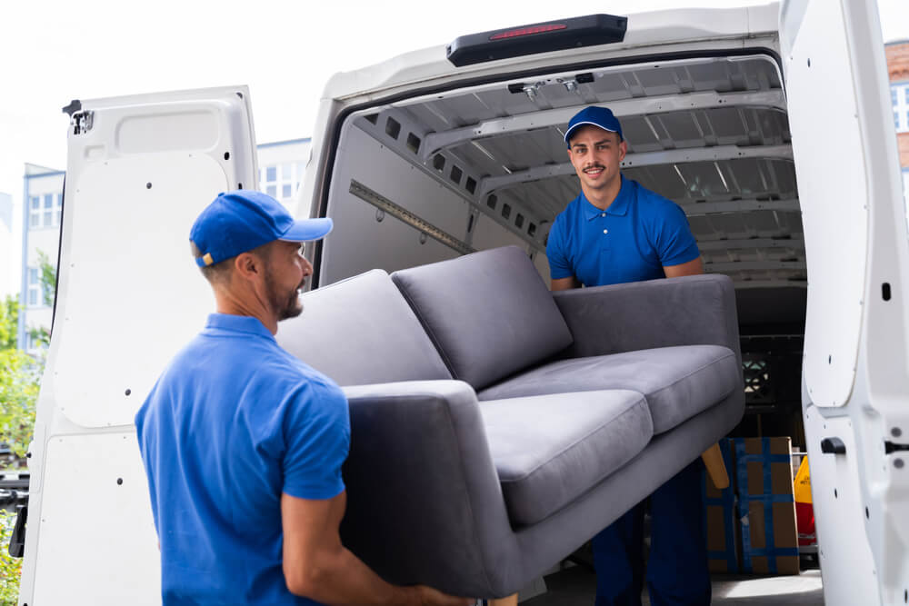 Cleveland Local Removals Near Me